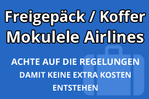 Freigepäck Koffer Mokulele Airlines